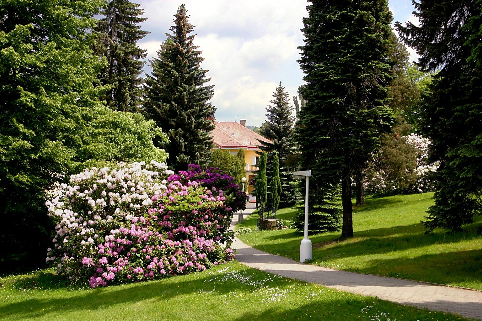 Spa Resort Libverda - Hotel Panorama Lazne Libverda Exterior photo